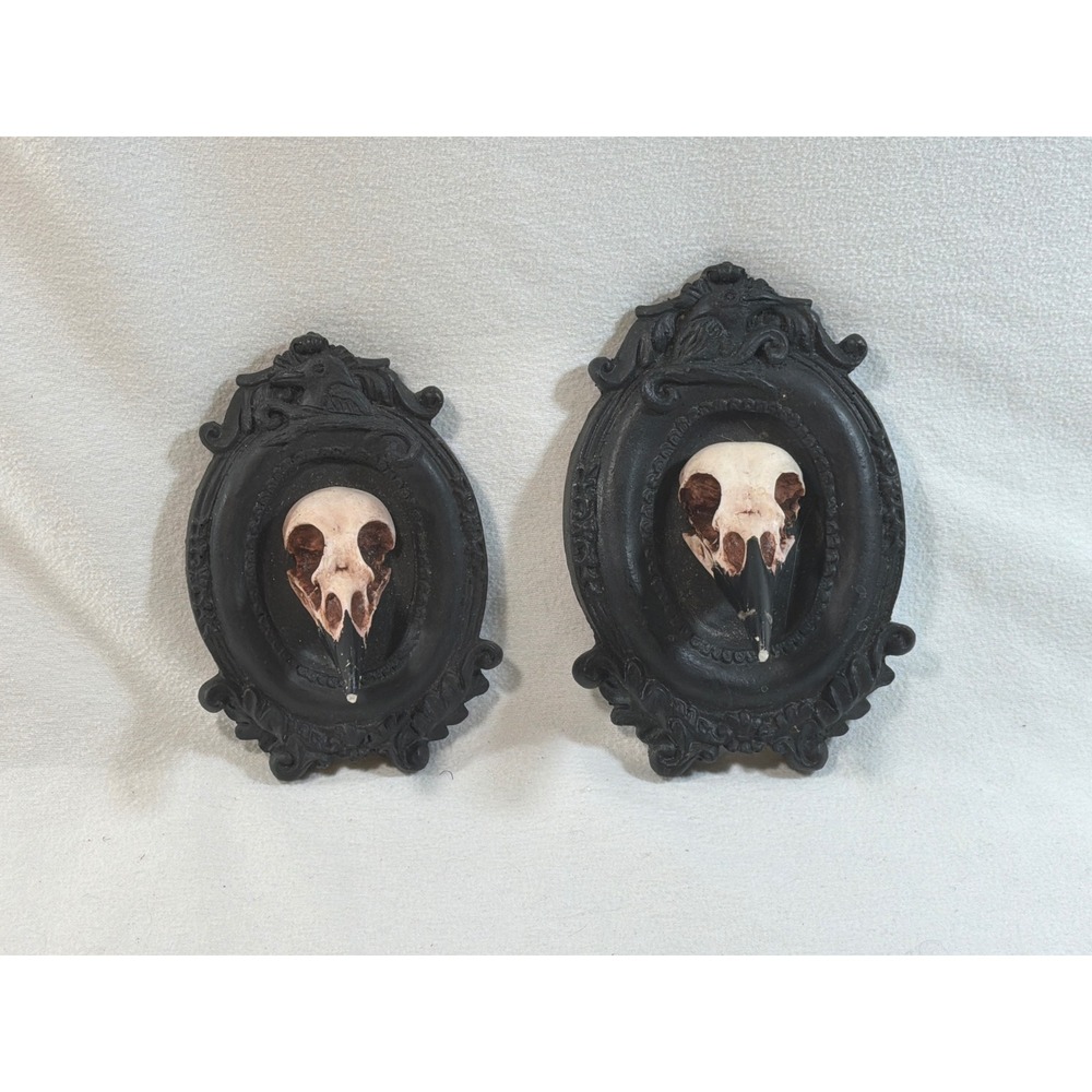 Peculiar by Nature Bird Skull Wall Decor Set of 2 Gothic Resin Oddities Black